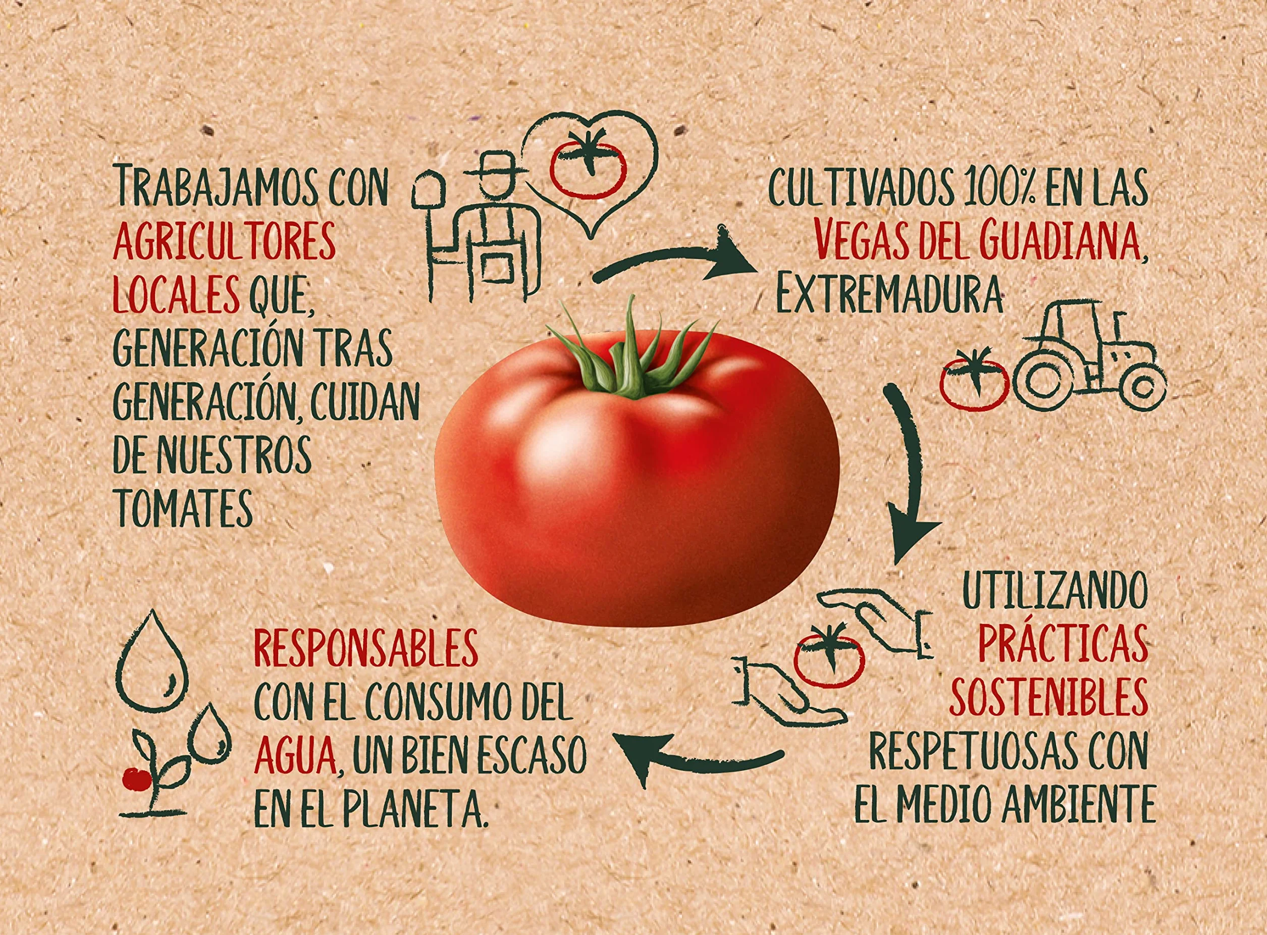Solis Tomate Frito Formato Ahorro Brick 500 g (salsa de tomate)