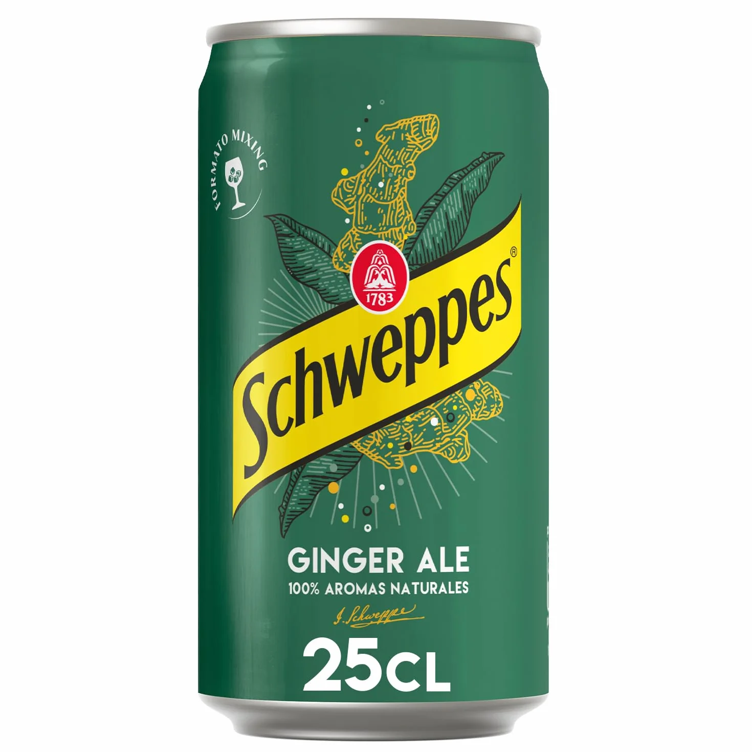 Schweppes Ginger Ale Bebida Jengibre Refrescante Pack 24 x 25 cl