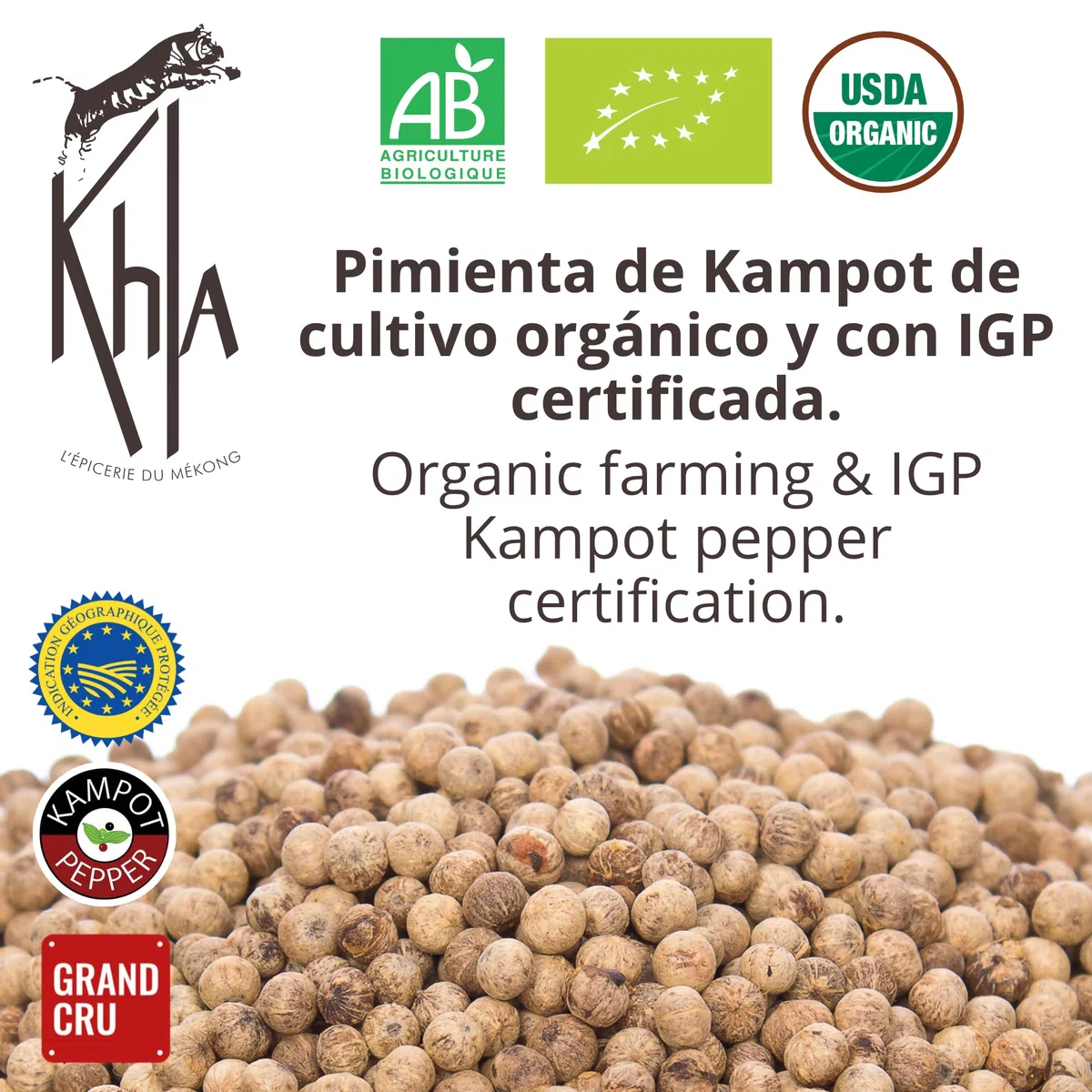 Khla - Pimienta Blanca de Kampot Orgánica 120g - Pimienta en Grano - Fuerte y Potente - Ingrediente de Cocina - Directo del Productor - Especia Asiática - Origen Camboya