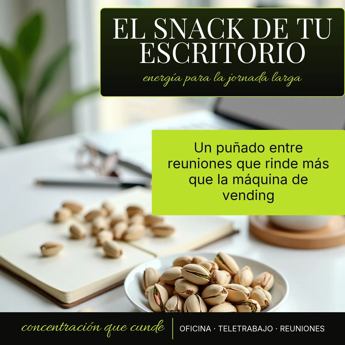 Pistachos cultivados en España, tostados y salados. 4x250 gramos Saludable Aperitivo Para Picar Fitness Proteico Cultivo Propio Andalucia Frutos Secos Naturales Vegano Sin Gluten