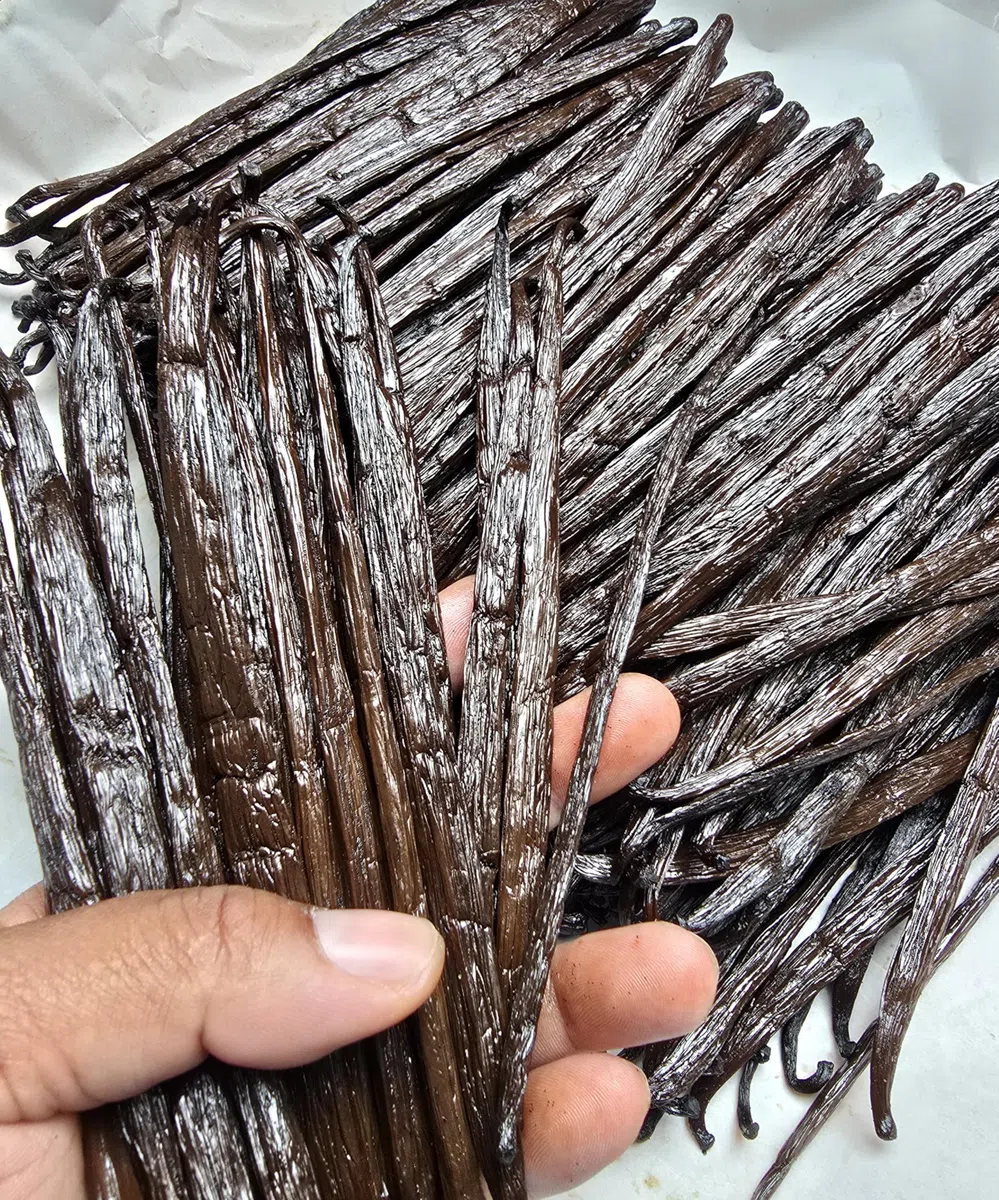 20 vainas de vainilla bourbon de Madagascar de tamaño mediano 15 a 18 cm - Aroma intenso y sabor delicado