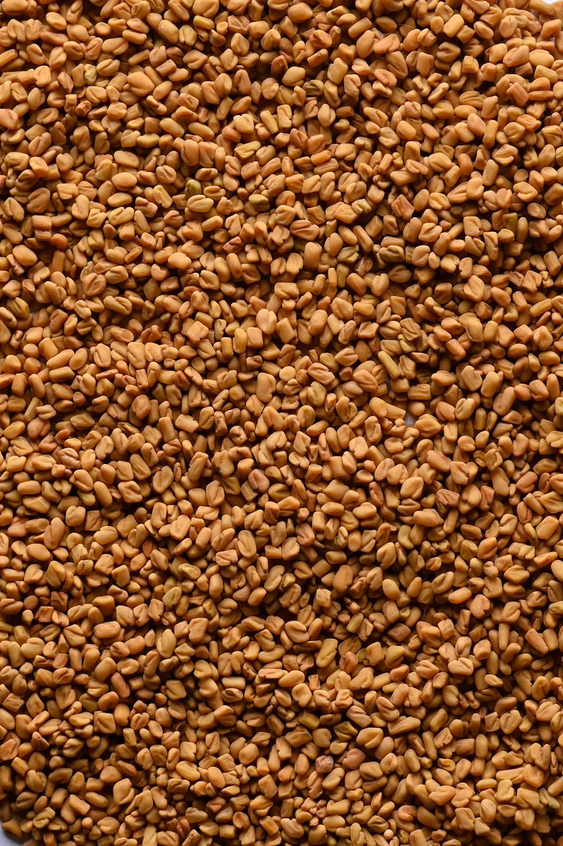 Biojoy Semillas de Fenogreco Orgánico (1 kg), secas y enteras, para Té de fenogreco