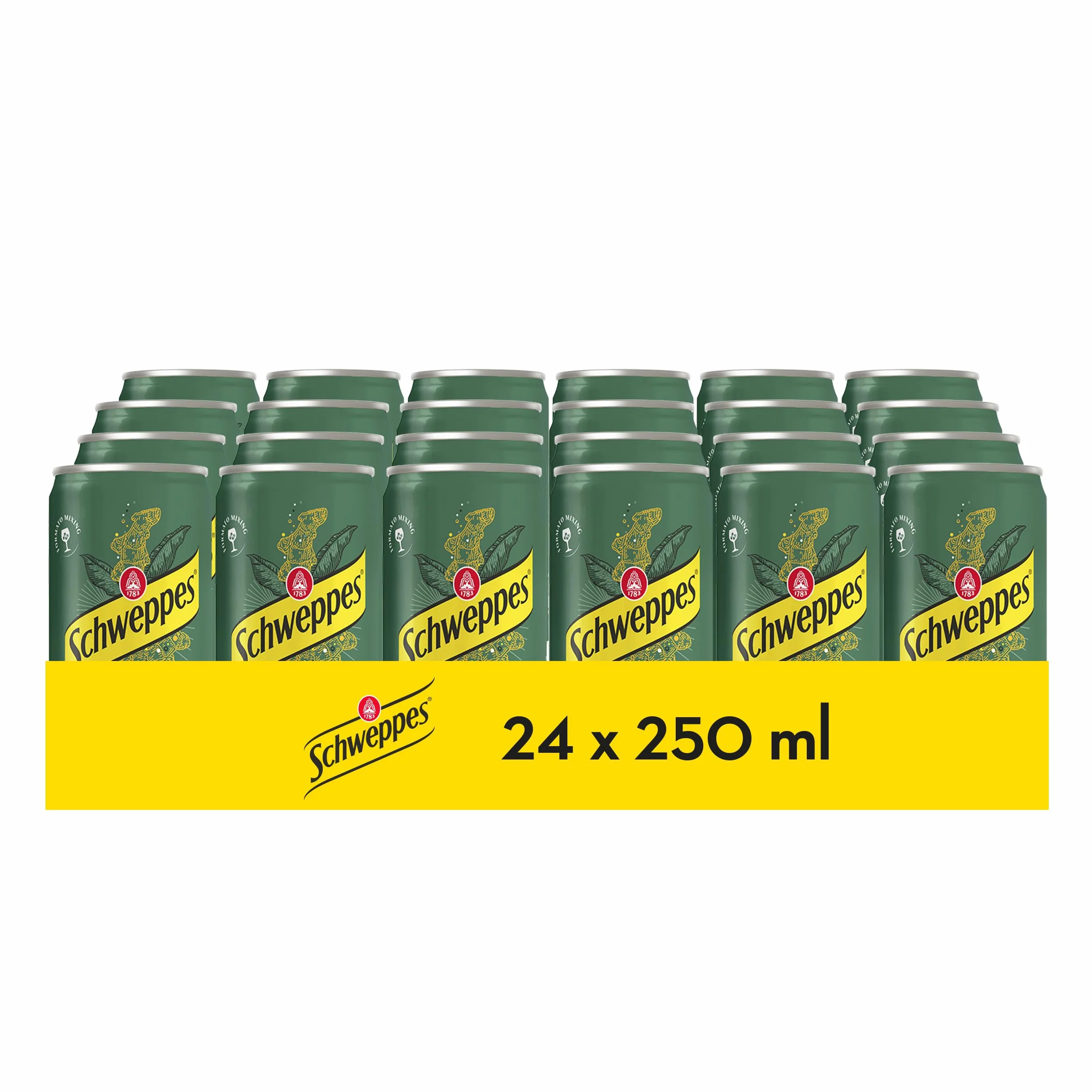 Schweppes Ginger Ale Bebida Jengibre Refrescante Pack 24 x 25 cl