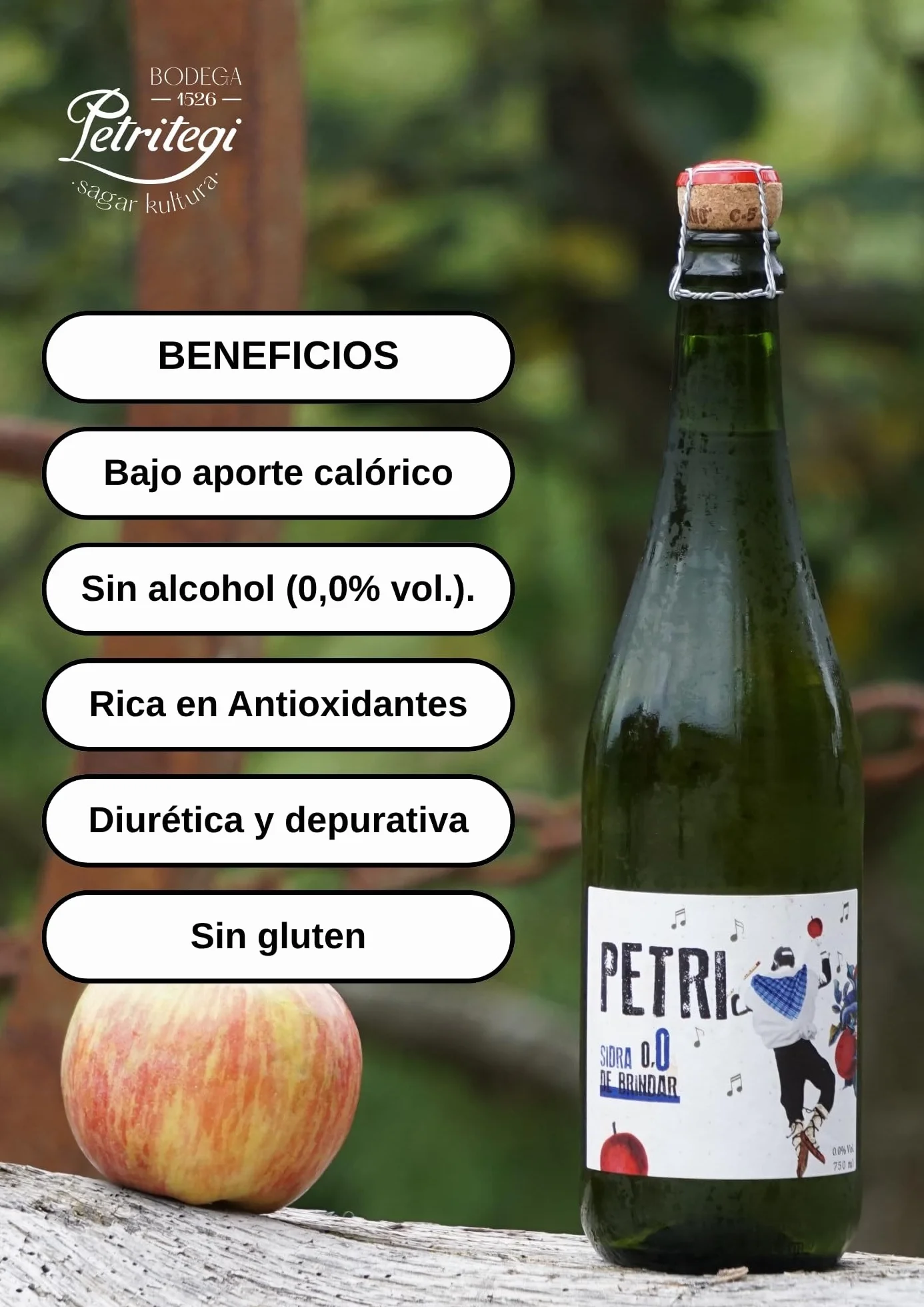 Sidra Petri Sin Alcohol 75 cl – Sidra Natural Refrescante y Sin Gluten de la Bodega Petritegi – Elaborada con Manzanas Seleccionadas (Pack 3)