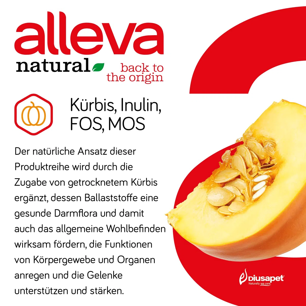 Alleva Natural Adult Chicken & Pumpkin Medium - 2 Kg