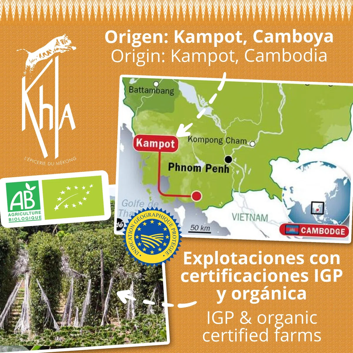 Khla - Pimienta Blanca de Kampot Orgánica 120g - Pimienta en Grano - Fuerte y Potente - Ingrediente de Cocina - Directo del Productor - Especia Asiática - Origen Camboya