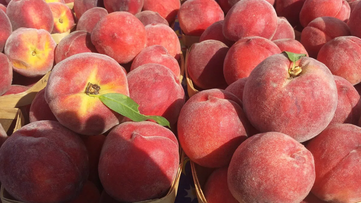 Melocotón amarillo fresco, frutas grandes, 10 unidades