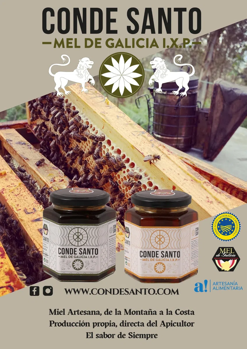 Miel Cruda de Costa de Galicia IGP 500 g – 100% Natural Sin Filtrar ni Pasteurizar | Miel Artesanal Directa del Apicultor | Conde Santo
