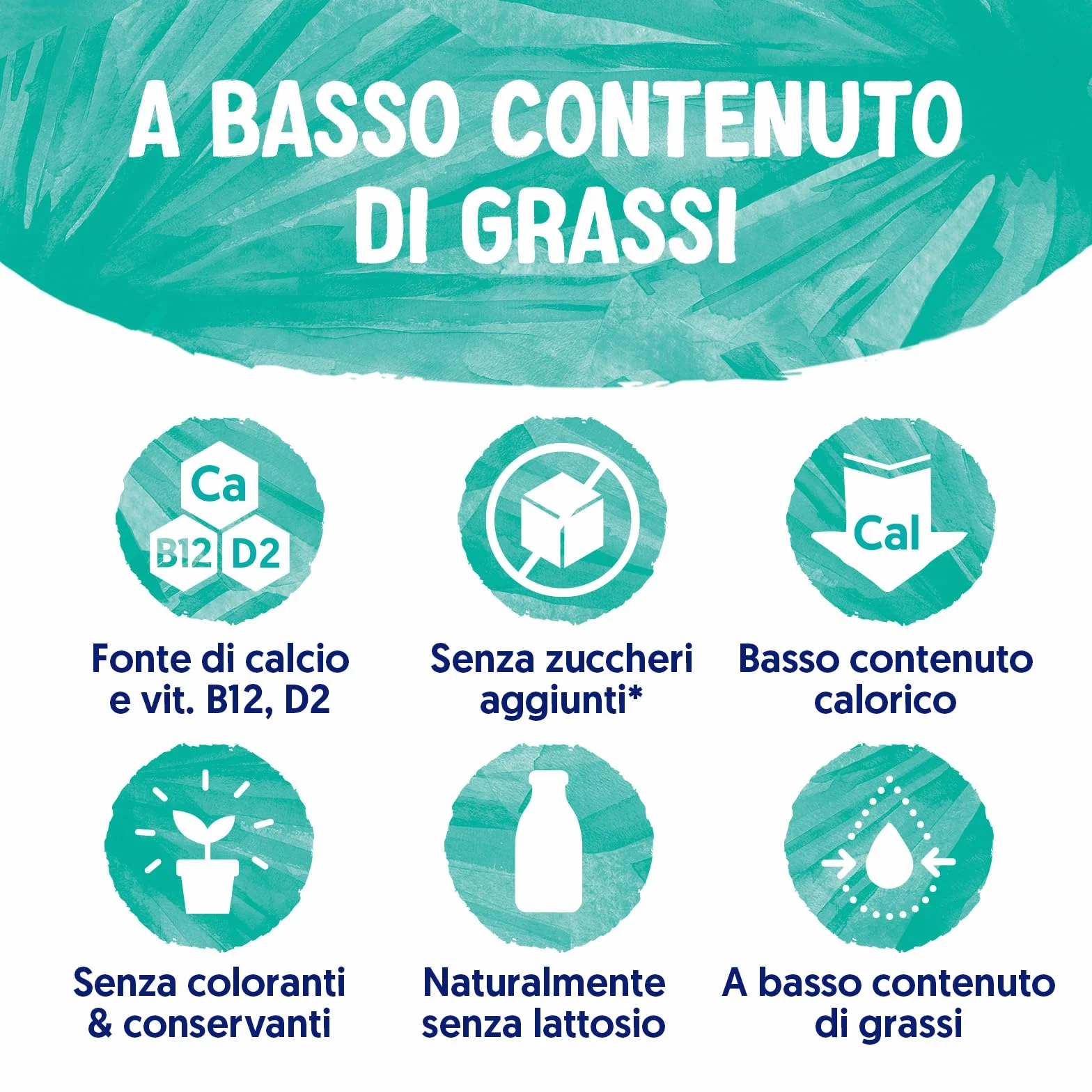 Alpro Bebida de larga duración a base de plantas de coco, vegana y sin lácteos, 1L (paquete de 8) (el empaque puede variar)