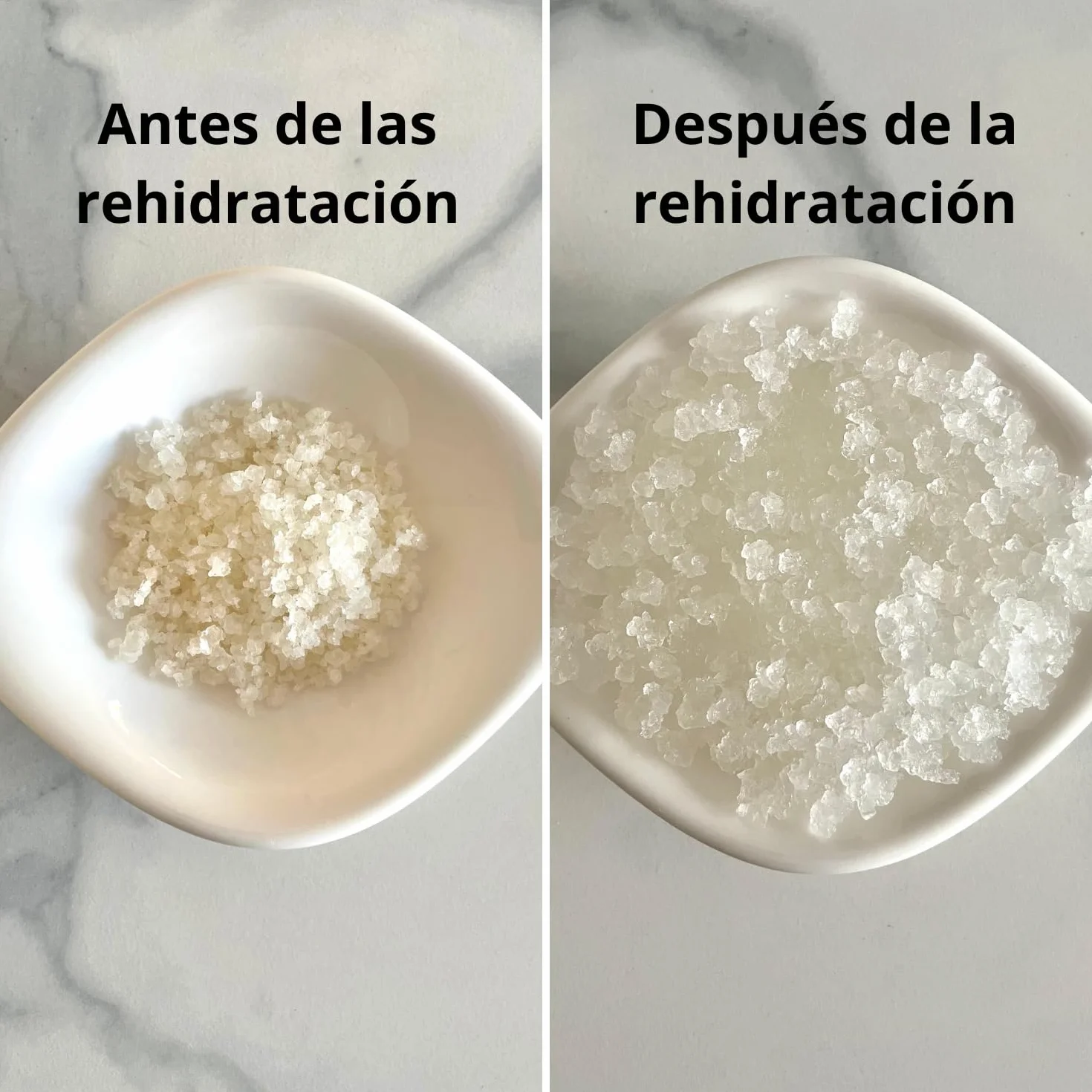Natural Probio® Kéfir de agua - Kit de inicio de cultivo - Granos de kéfir de frutas + Instrucciones completas, receta y consejos + Acceso a Ebook y recetas (10g deshidratado / 60g rehidratado)
