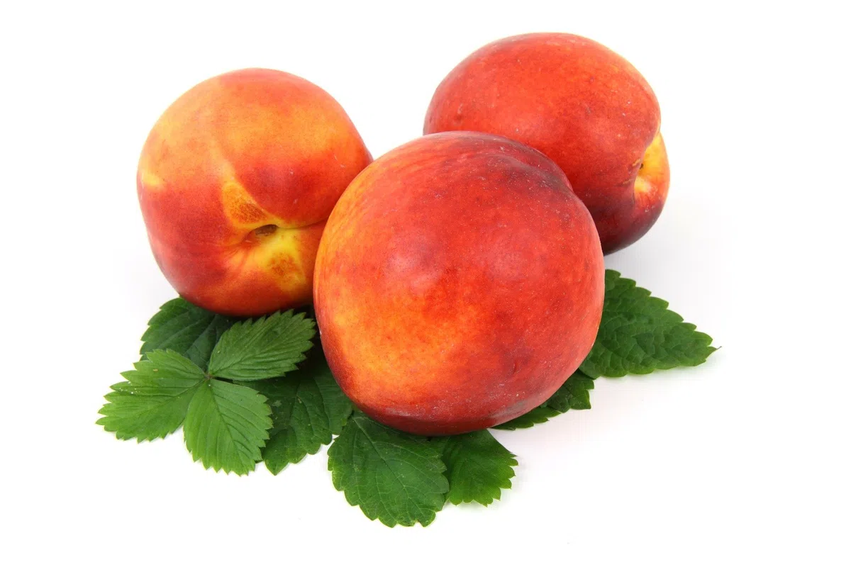 Melocotón amarillo fresco, frutas grandes, 10 unidades