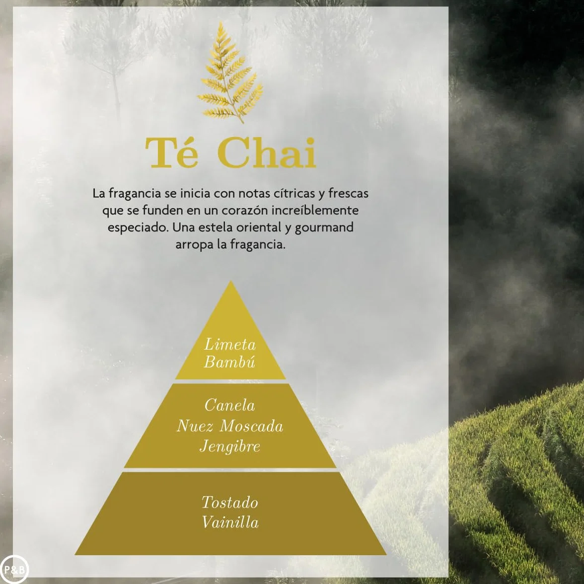 Esencia Hidrosoluble Te Chai Aromaterapia para Difusores y Humidificadores Aroma Canela 50 ml Pack de 4