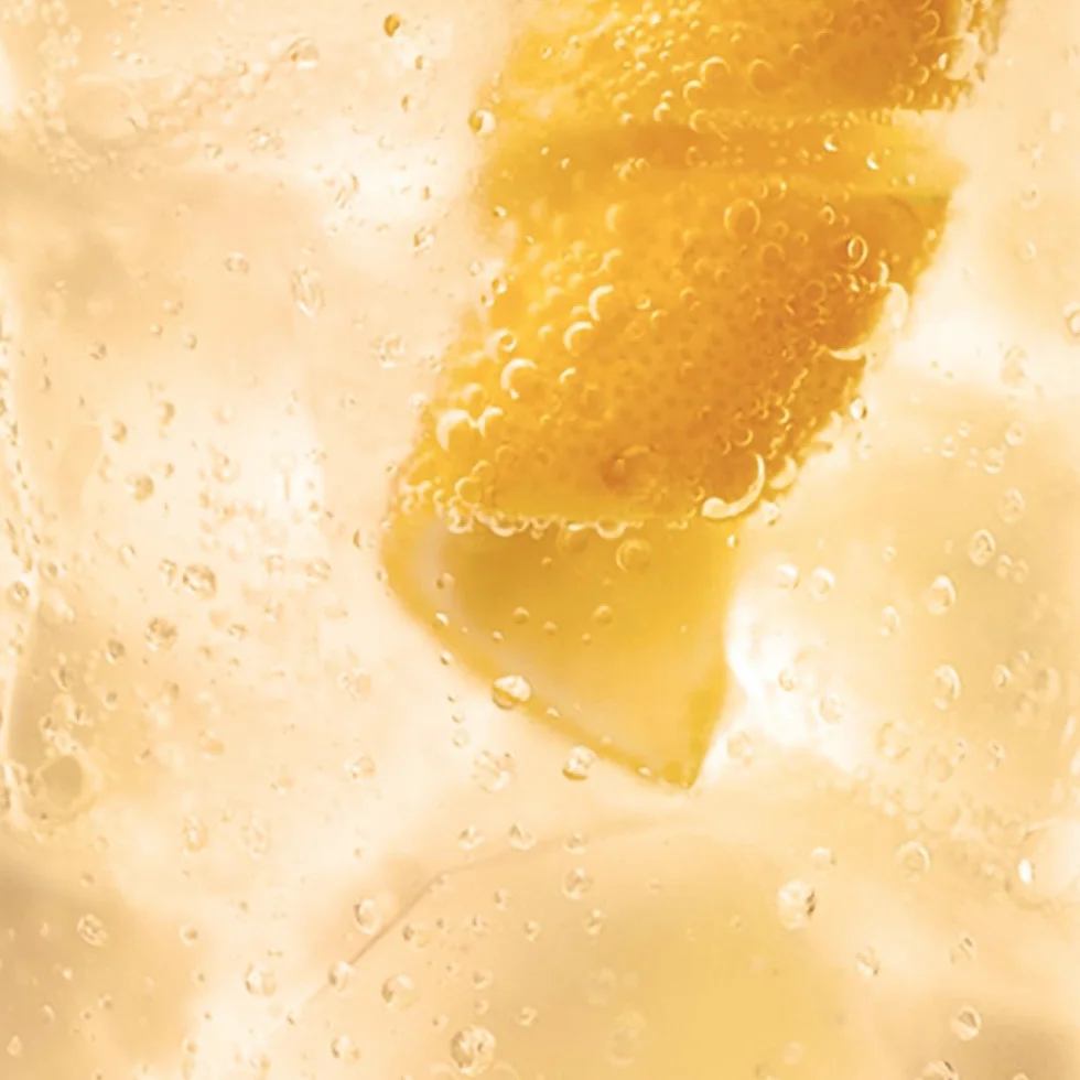 Schweppes Ginger Ale Bebida Jengibre Refrescante Pack 24 x 25 cl