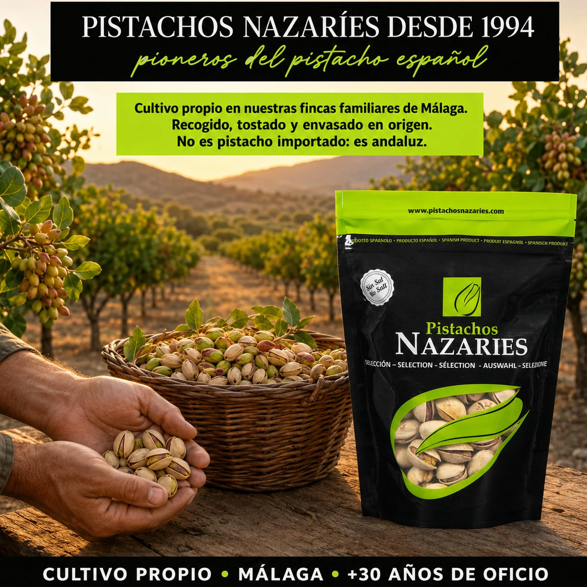 PISTACHOS NAZARIES Pistachos Tostados Sin Sal 8 x 120 g Pistacho Español Cultivo Propio Andalucia Malaga Snack Saludable Fitness Sin Gluten Frutos Secos Aperitivo Individual Para Llevar Gym Oficina