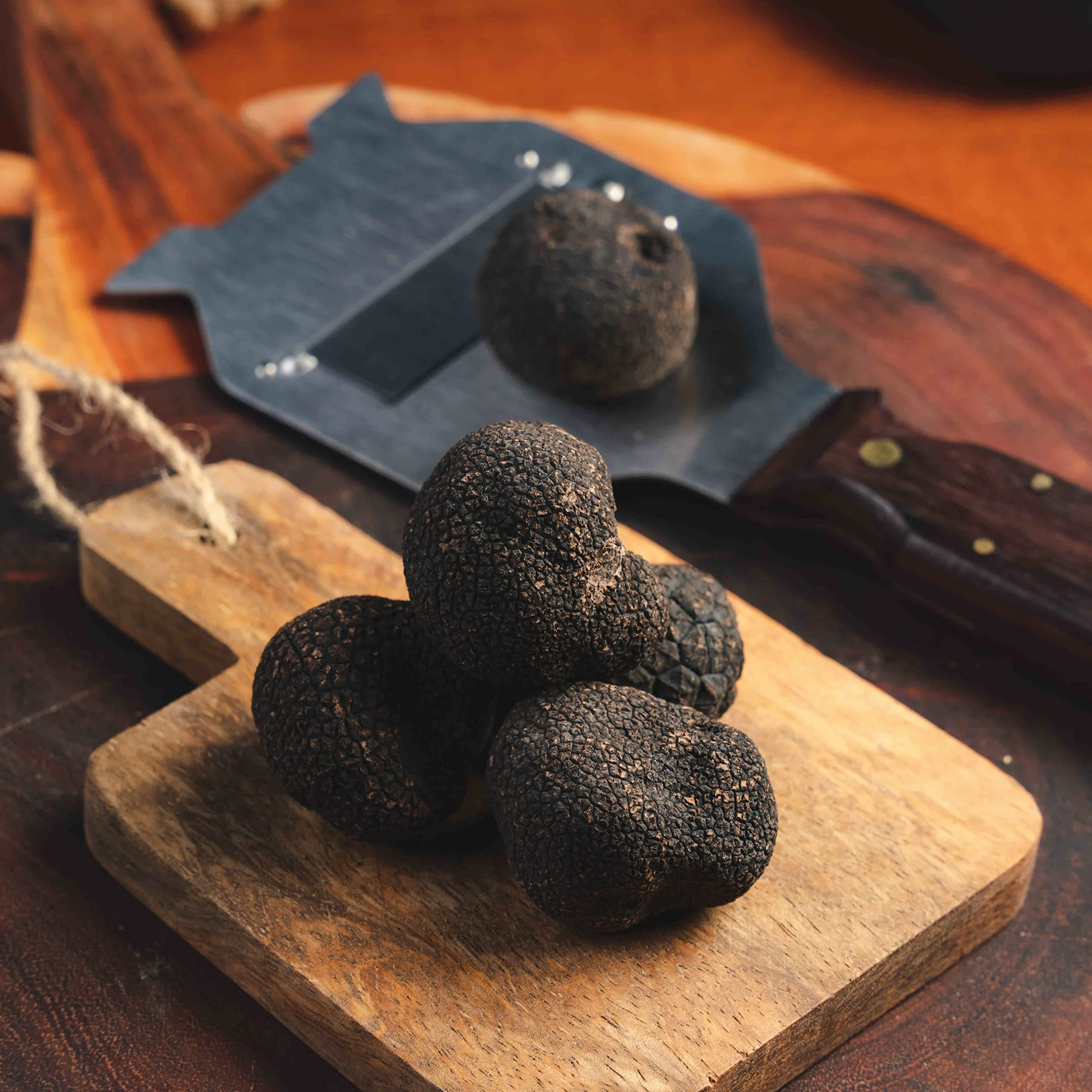 Lord Truffle | Trufa Negra Italiana de Verano en Salmuera 17g, Olor a Maleza, Trufa Negra Fresca Gourmet 1ª elección, 100% Italiano