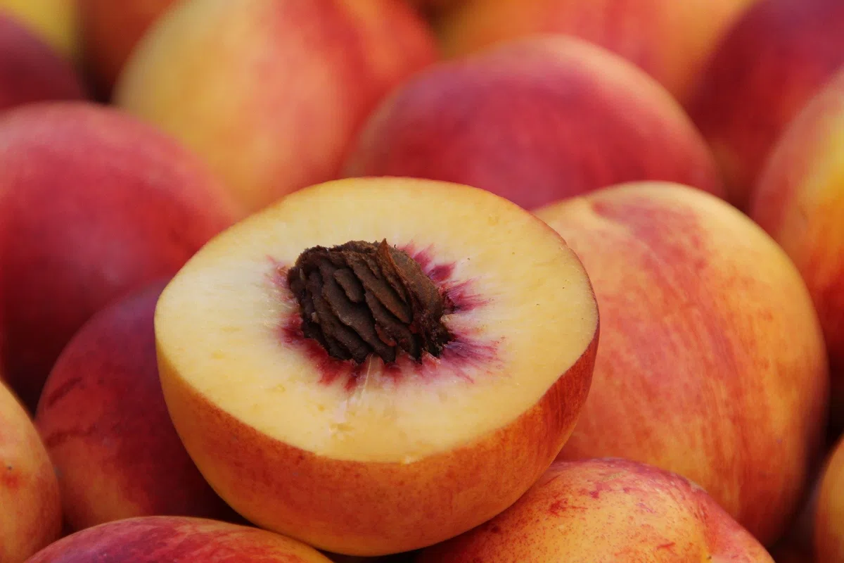 Melocotón amarillo fresco, frutas grandes, 10 unidades