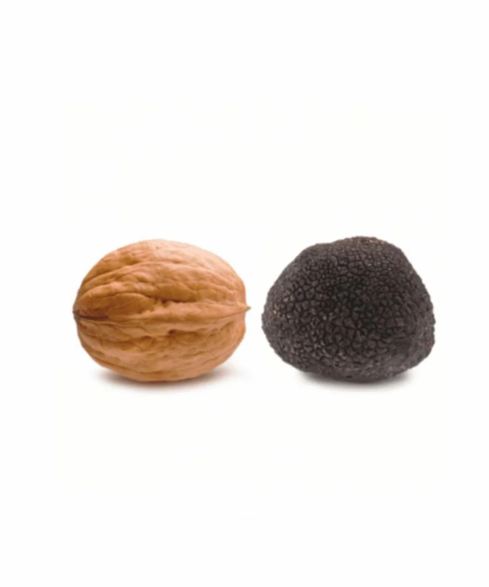 Trufa Negra Melanosporum M - (30gr) - 30gr