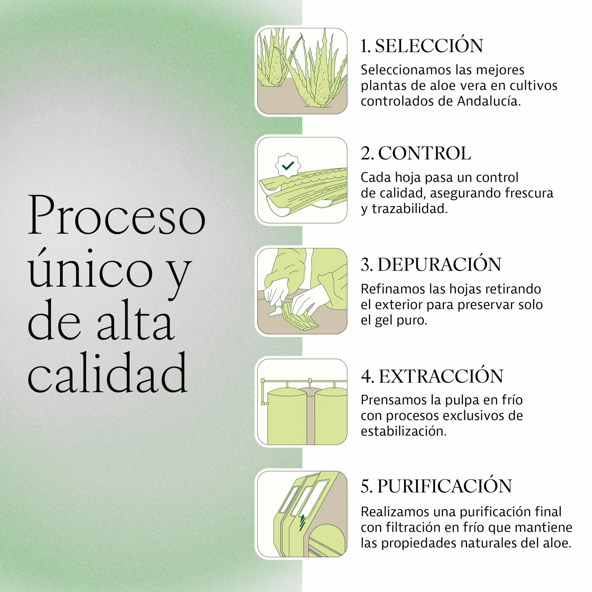 PLAMECA - Aloe Verum Premium, Aloe Vera Bebida, Jugo, Zumo, Sin Pasteurizar, Sin Edulcorantes, en Frío, Ayuda a la Salud Gastrointestinal, el Sistema Inmunitario y ante la Fatiga, Sabor Puro - 1 L