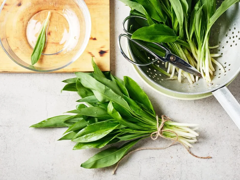 Taudì Conserve Pesto de Ajo Silvestre (Ajo Ursino) Siciliano – Condimento 100% Natural, Artesanal, Gourmet para Pasta, Bruschetta y Recetas Gourmet – Frasco 180 g