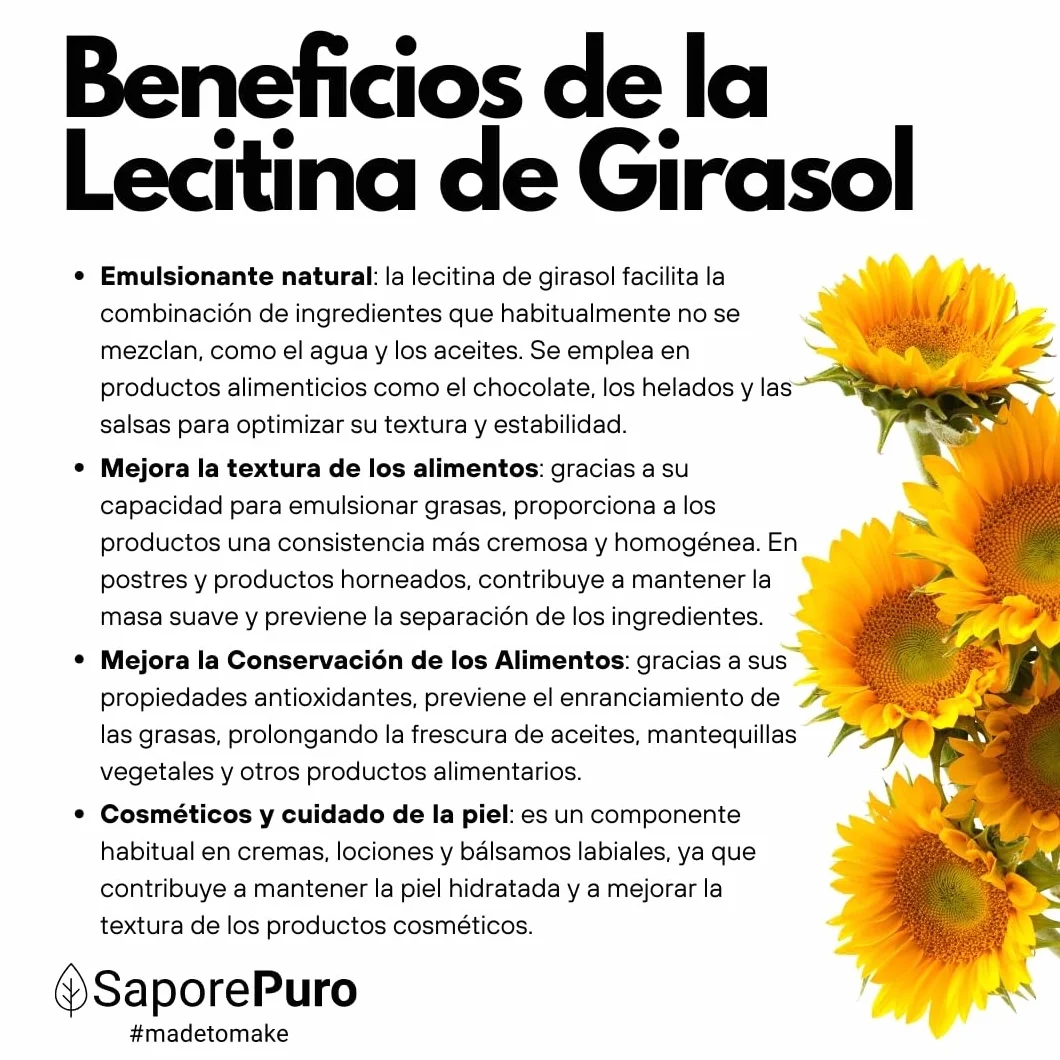 SaporePuro Lecitina de Girasol en Polvo 500 g – Emulsionante Natural Sin Gluten