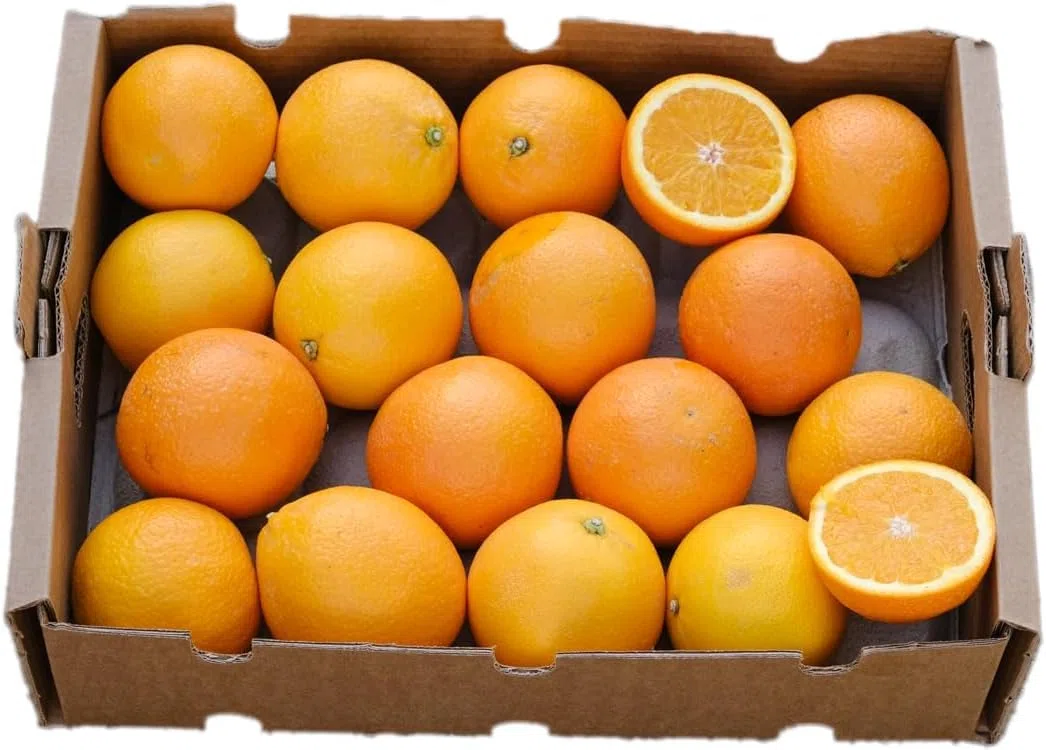 Vitalem – Caja de Naranjas Frescas 4kg (8-14 Piezas) | Fruta Natural y Ecológica | Cultivo Local Málaga | Directo del Agricultor | 100% Sostenible | Ideal para Zumos, Postres y Cocina Saludable
