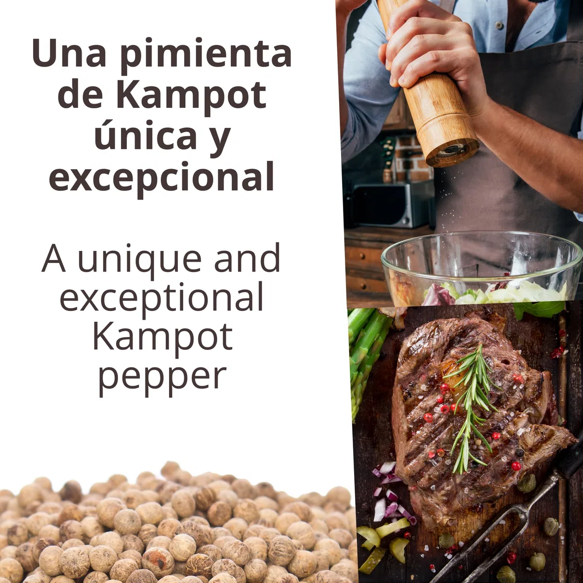 Khla - Pimienta Blanca de Kampot Orgánica 120g - Pimienta en Grano - Fuerte y Potente - Ingrediente de Cocina - Directo del Productor - Especia Asiática - Origen Camboya