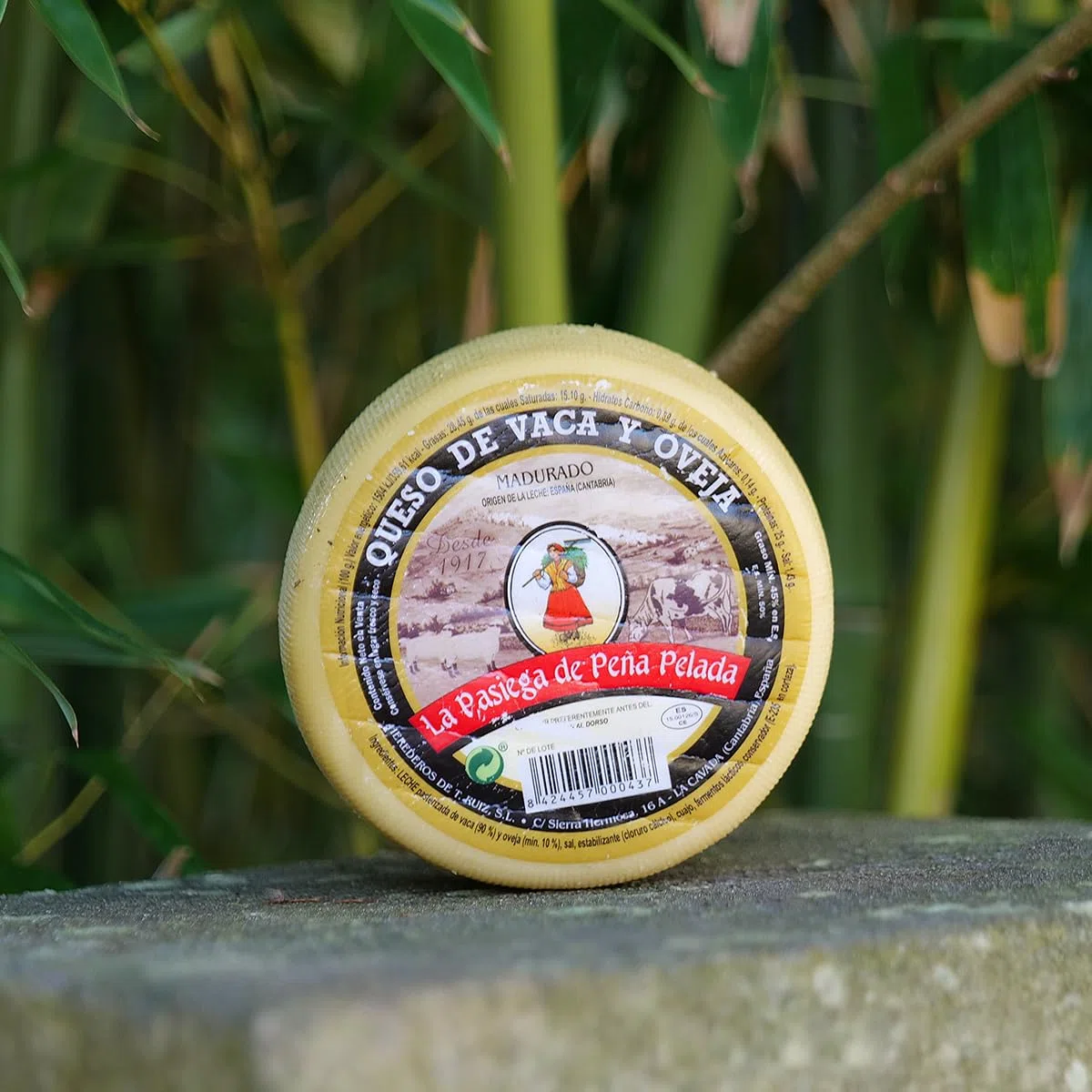 LA PASIEGA DE PEÑAPELADA Queso Mezcla de Vaca y Oveja, Queso redondo baby 530 gr (aprox) Al vacío - Sabor Suave y Pronunciado - Elaborado con Leche Pasteurizada - Calidad Artesanal Española
