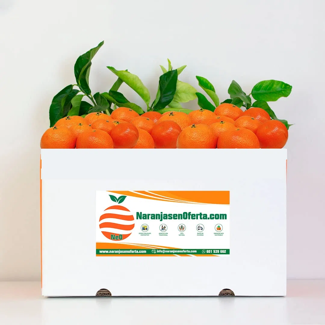 MANDARINAS DE VALENCIA. CAJA DE 10KG