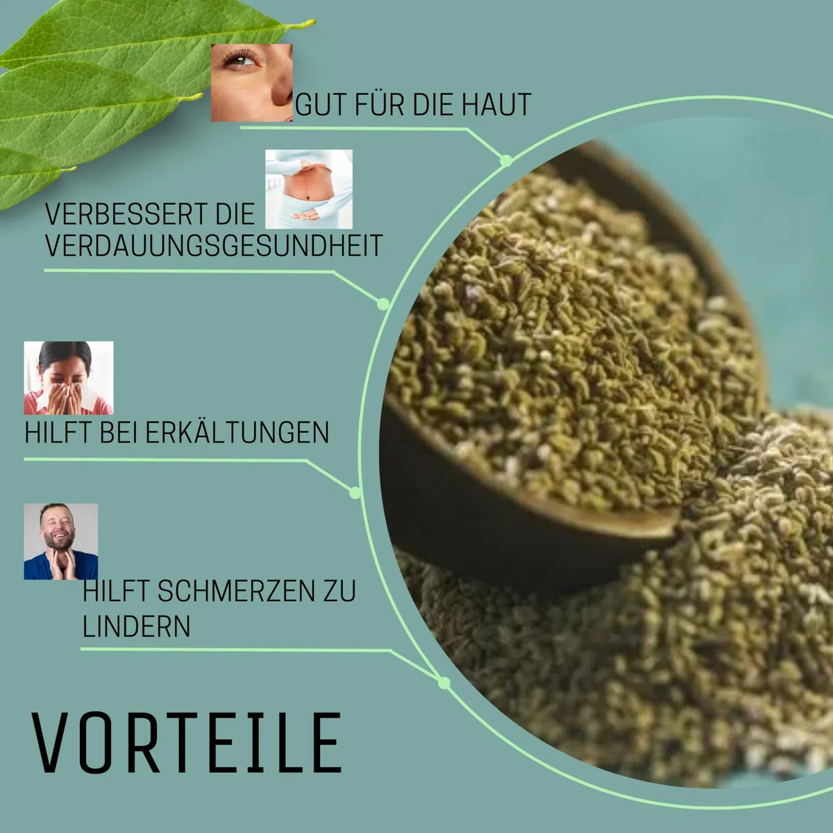 Kajal Ajwain - Semillas indias de ajwain, 700 g, frescas y aromáticas, para digestión y cocina, especias para curry y masala, sin gluten premium