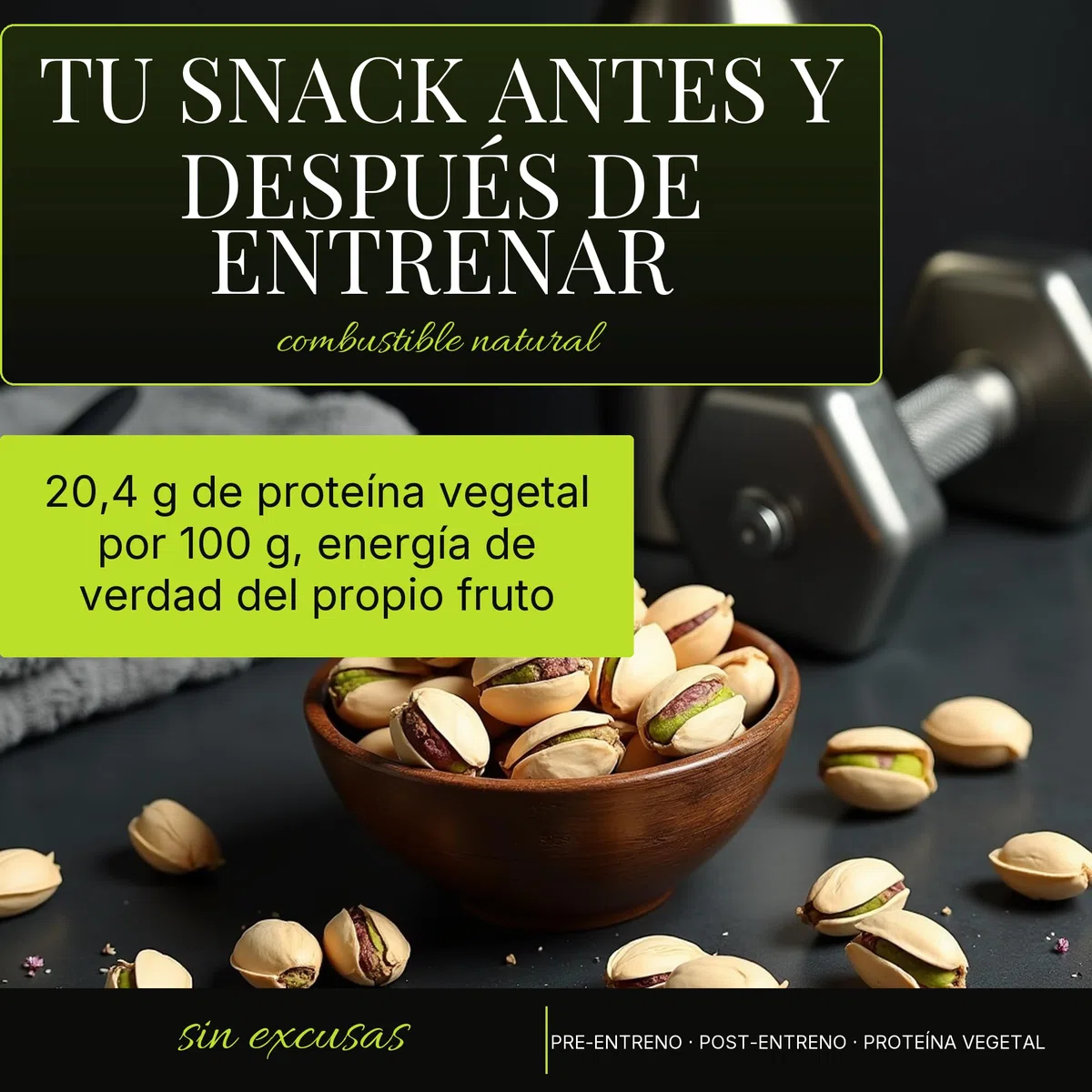 Pistachos cultivados en España, tostados y salados. 4x250 gramos Saludable Aperitivo Para Picar Fitness Proteico Cultivo Propio Andalucia Frutos Secos Naturales Vegano Sin Gluten