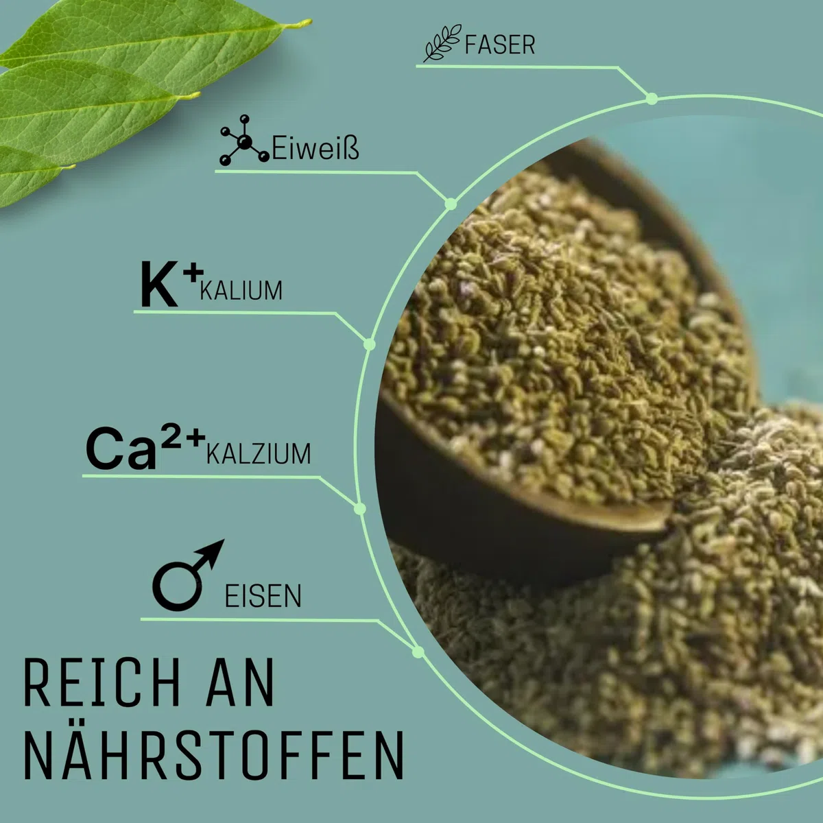 Kajal Ajwain - Semillas indias de ajwain, 700 g, frescas y aromáticas, para digestión y cocina, especias para curry y masala, sin gluten premium