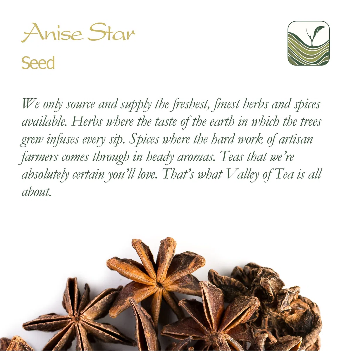 Anís Estrellado Orgánico Infusión Semillas - Badiana Sabor Dulce E Intenso - Anís Estrellado O Illicium Verum 200g
