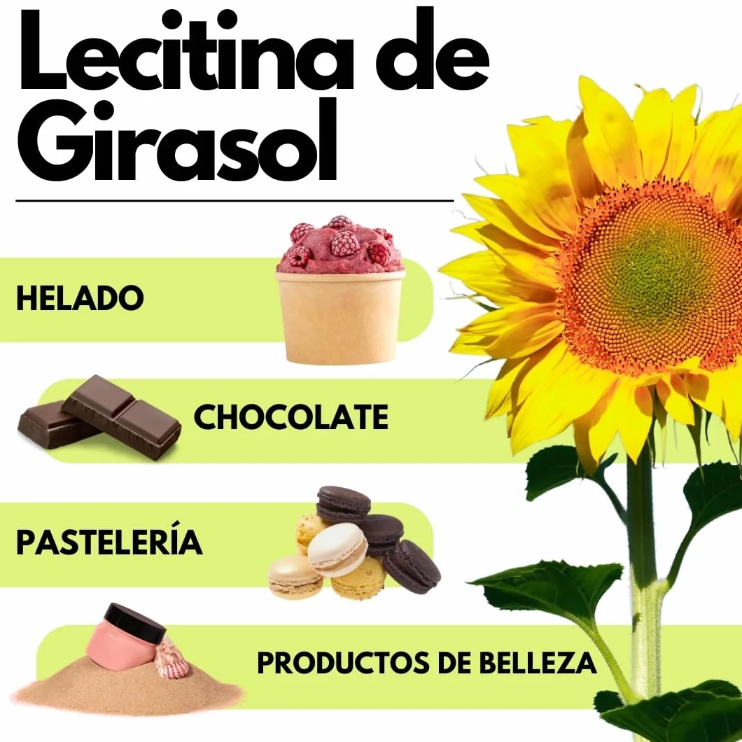 SaporePuro Lecitina de Girasol en Polvo 500 g – Emulsionante Natural Sin Gluten