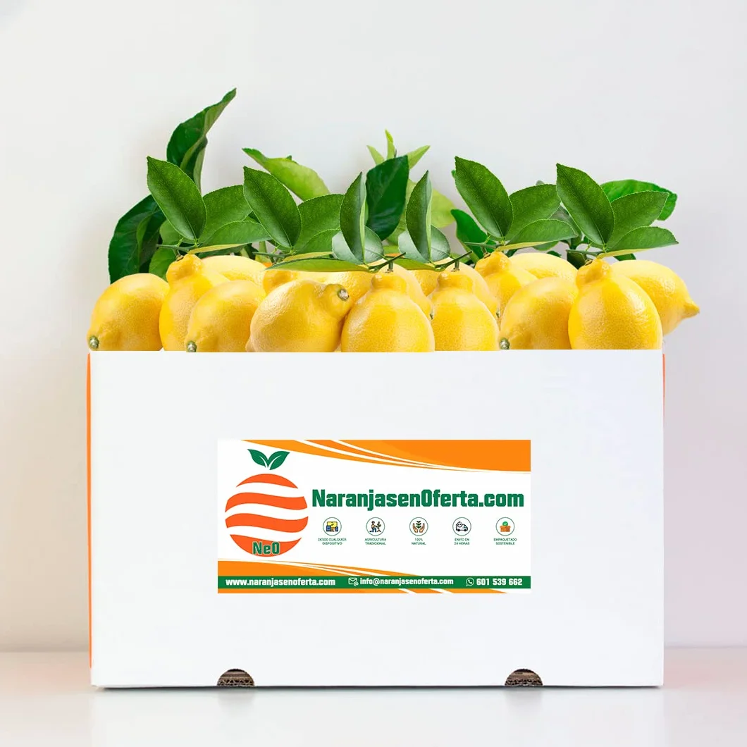 LIMONES DE VALENCIA. CAJA 10KG