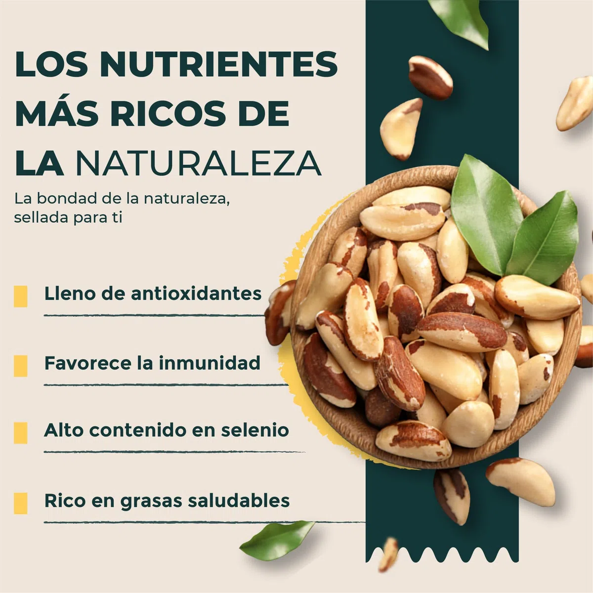 FOODIN Nueces de Brasil 2x500g, Nueces de Brasil Excelente fuente de proteínas y ácidos grasos insaturados, Nueces de Brasil 100% orgánicas, sin gluten y veganas, paquete de 2