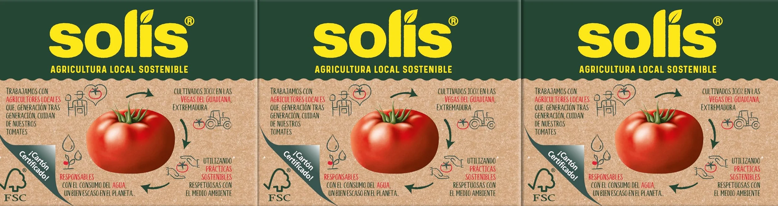Solis Salsa de tomate COMBI OLIVA 8 x (3 x 200 g)